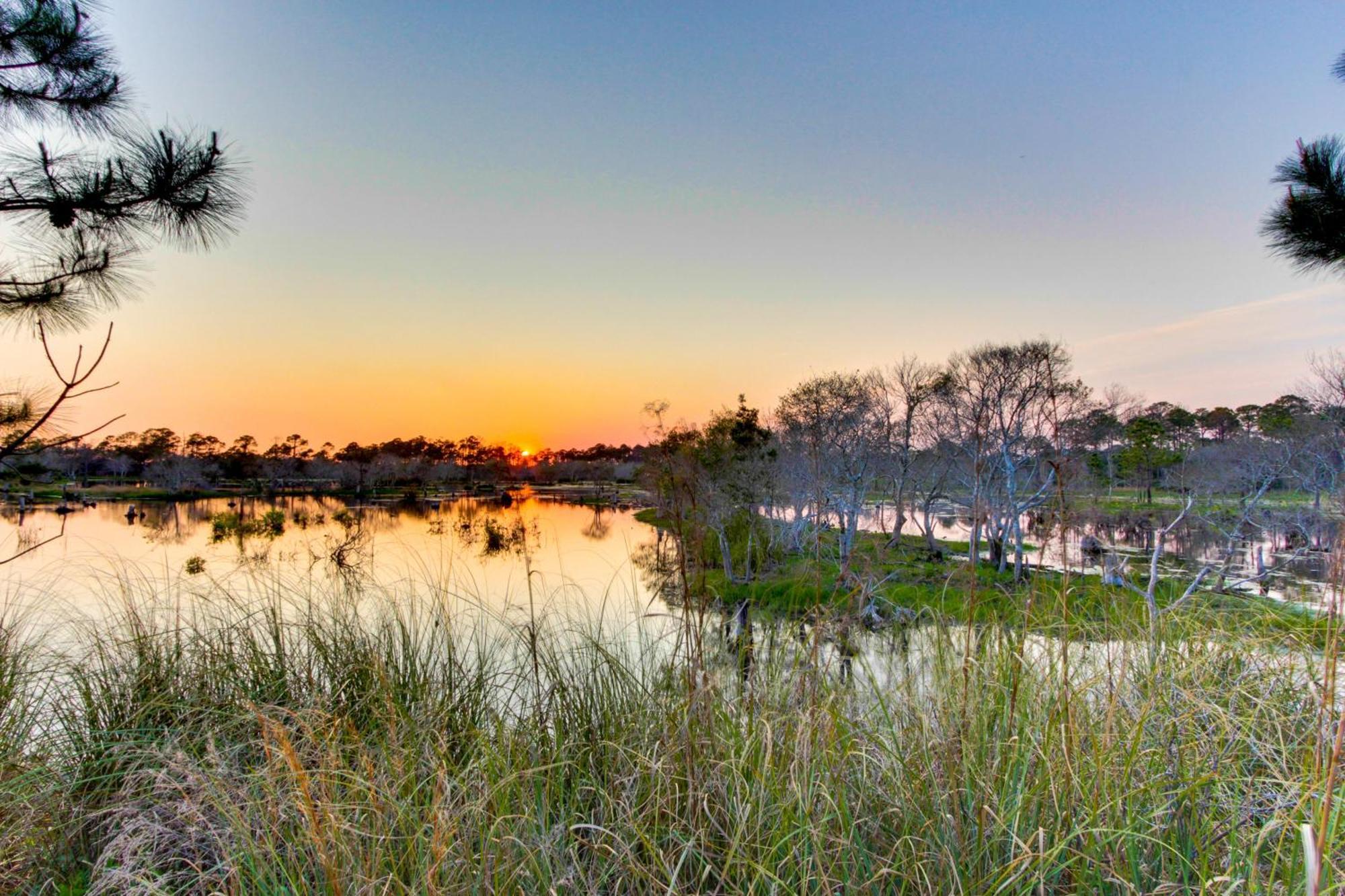 Emerald Isle Panama City Beach Phòng bức ảnh